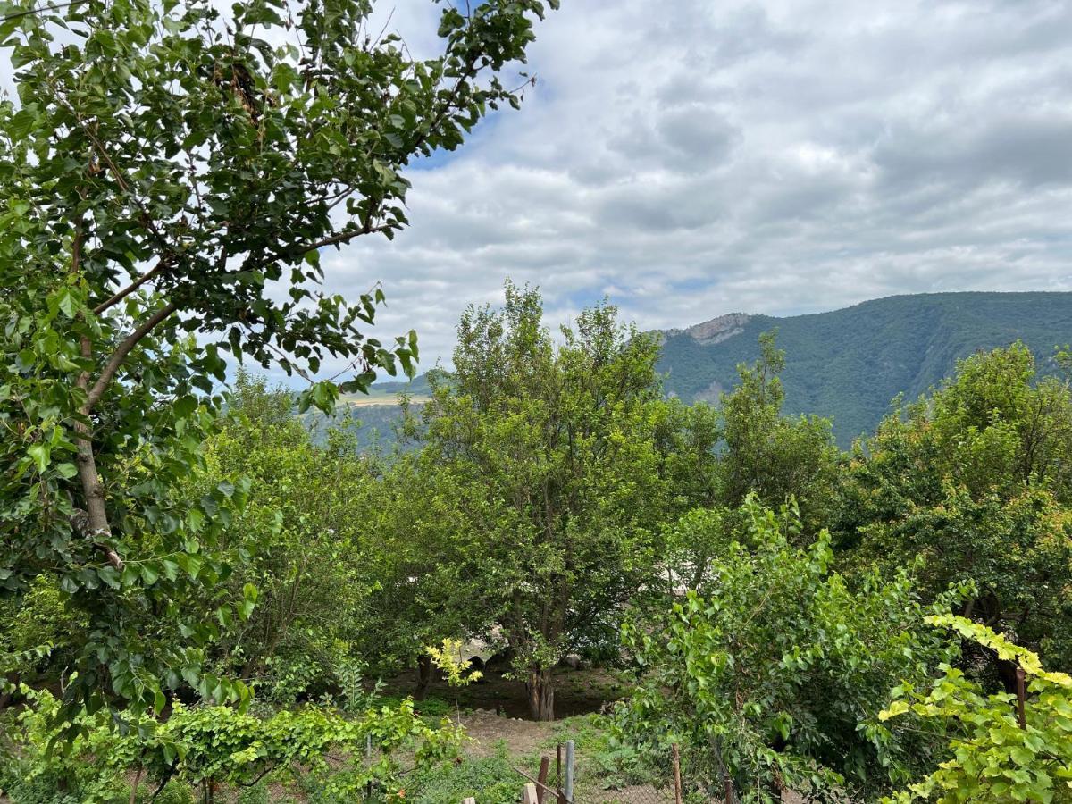 Arman Bed And Breakfast Halidzor Extérieur photo